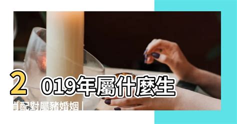 屬豬女配對|屬豬女配什麼生肖？解析生肖配對的最佳組合